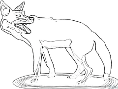 coyote Coloring Pages To Print